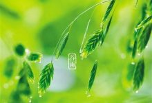 抓住春天的尾巴——谷雨,养肝抑“春火”-缙哥哥