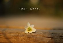 论不寐(失眠)-缙哥哥