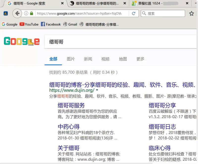 缙哥哥直接访问谷歌搜索“缙哥哥的博客”，并能打开传说中的1024