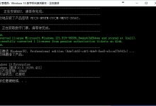 Windows 10 正版数字权利获取 及Hwidgen工具使用教程-缙哥哥