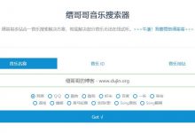 缙哥哥音乐搜索器周年更新-缙哥哥