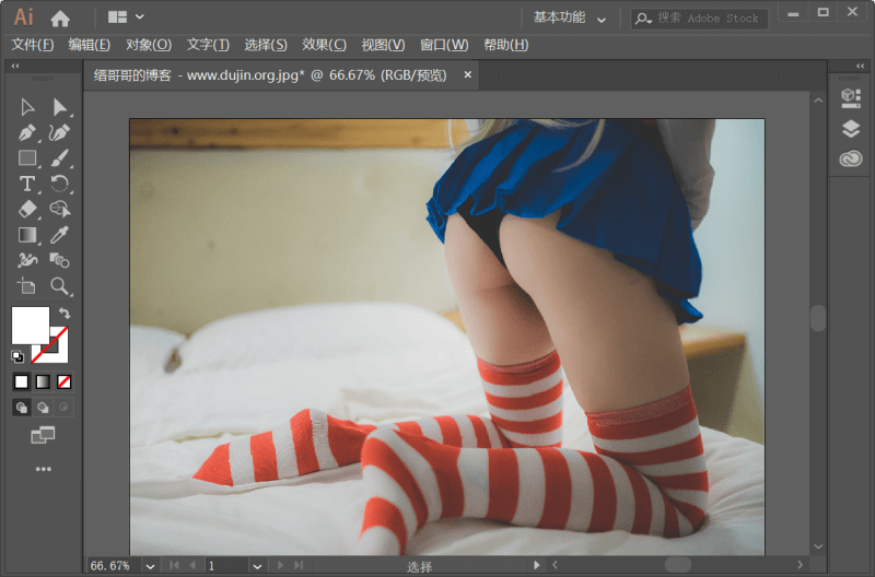 Adobe Illustrator CC 2019 中文优化直装版