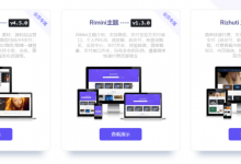 WP日主题 RI-VIP 所有主题不限域名终身会员66.66元专属优惠券-缙哥哥