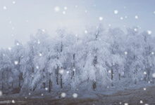年初三前往龙溪草甸看雪景-缙哥哥
