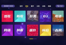 TV应用:家庭 KTV 会员版 APP,唱歌听歌任意点播-缙哥哥
