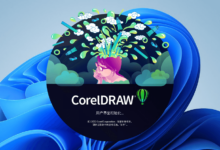 CorelDRAW 2022(24.2.0.436)中文全功能 64-Bit 免激活直装版-缙哥哥