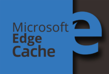 查看并修改 Edge 浏览器 Cache 缓存文件夹地址,及进阶使用思路-缙哥哥