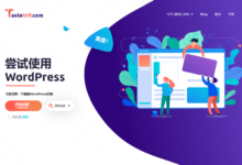 使用 TasteWP 免费部署 WordPress 测试网站,一分钟创建-缙哥哥