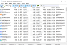 使用 TCPView 程序查看 Windows 电脑端口占用情况-缙哥哥